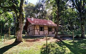Casa Goethe - Bio Cult